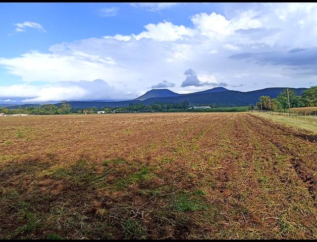 12HA FARM FOR SALE IN WEENEN
